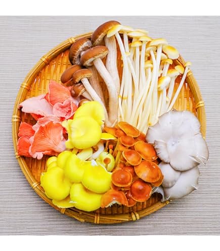 ♪ハーモニー 天然きのこセット Amazon.co.jp: 新鮮生きのこセット 6種類 各2パック（12パック） 長野